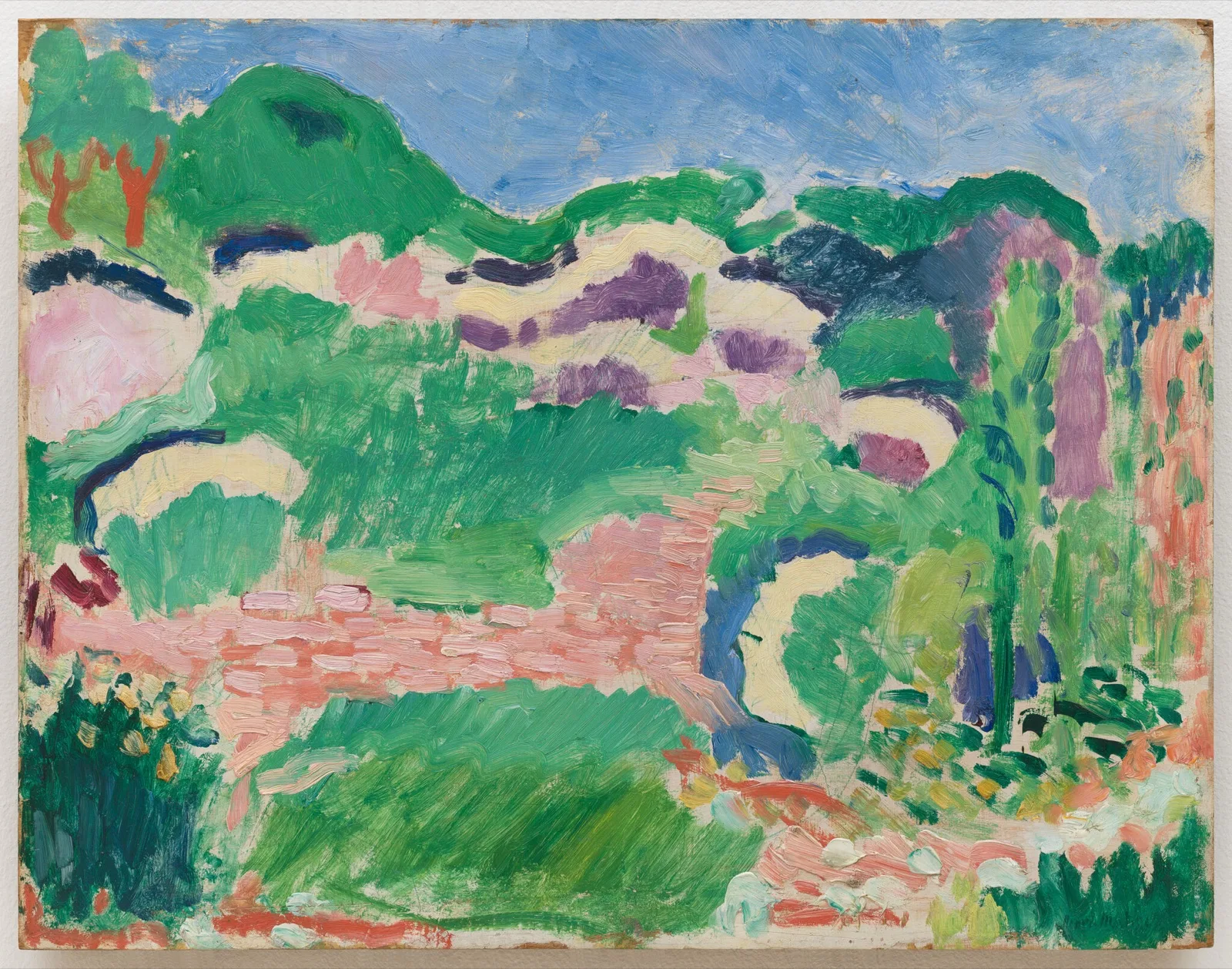 Paysage: Les genêts
