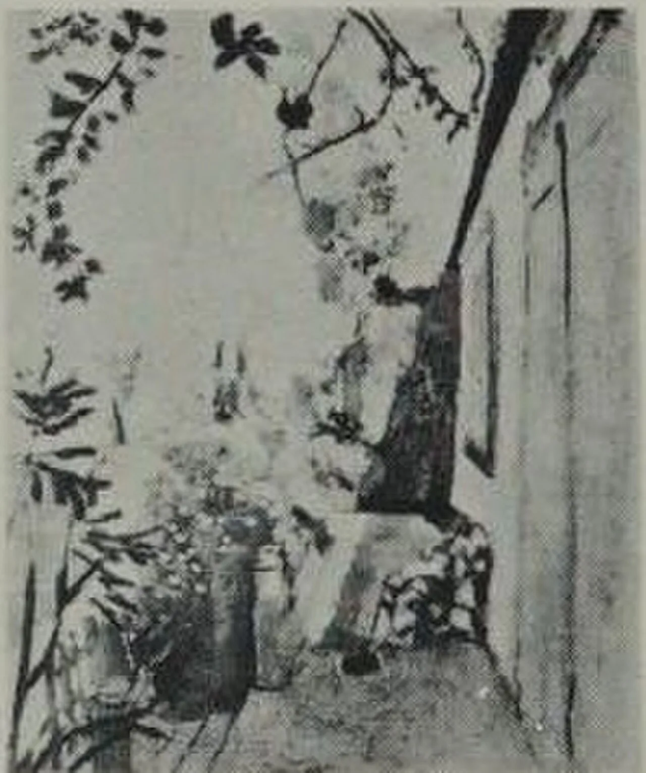 The Terrace, Saint-Tropez