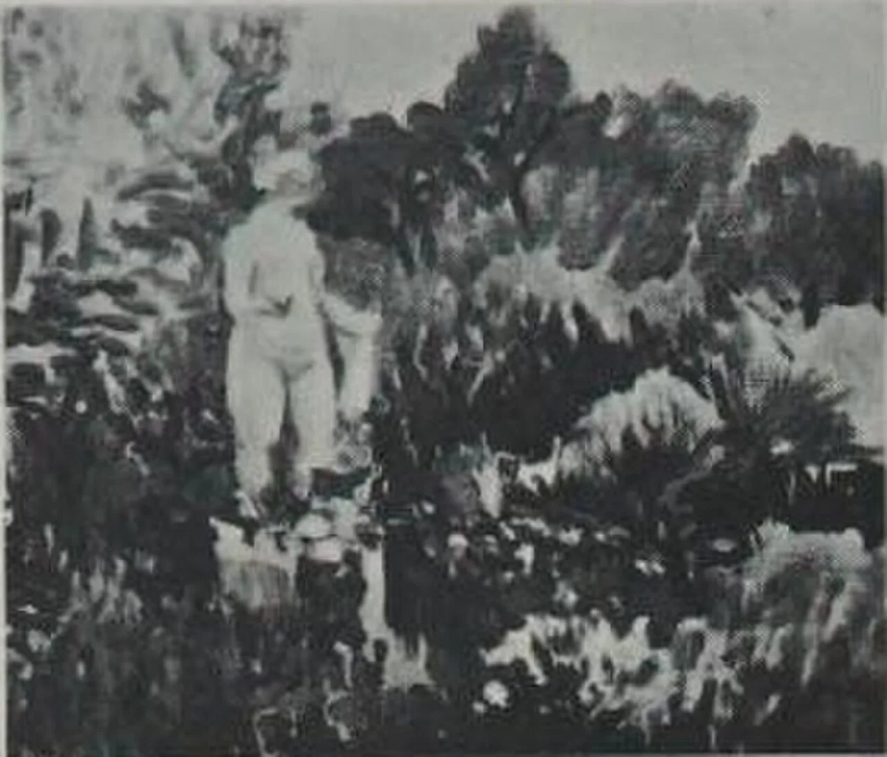 Le jardin de Renoir