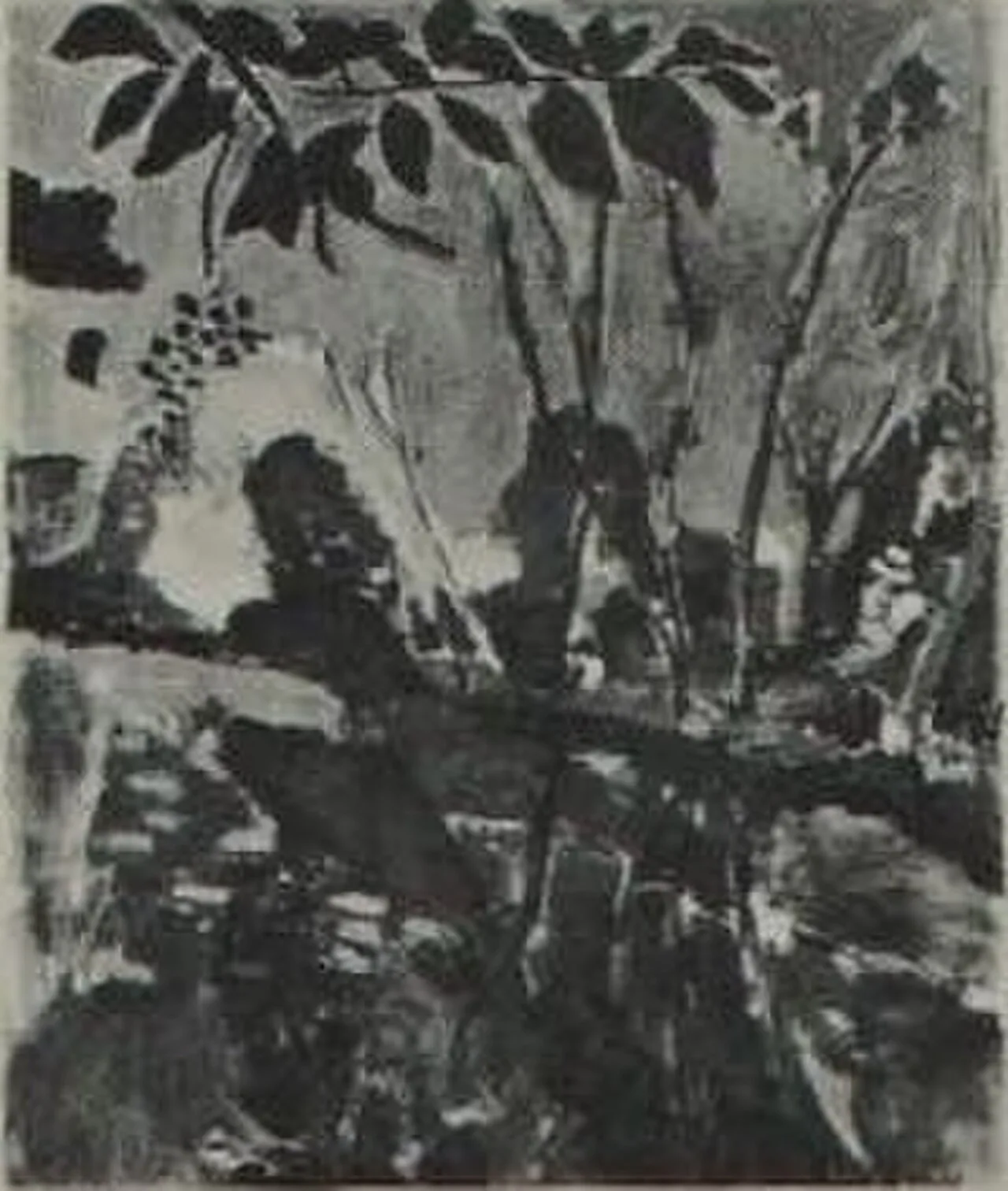 La berge