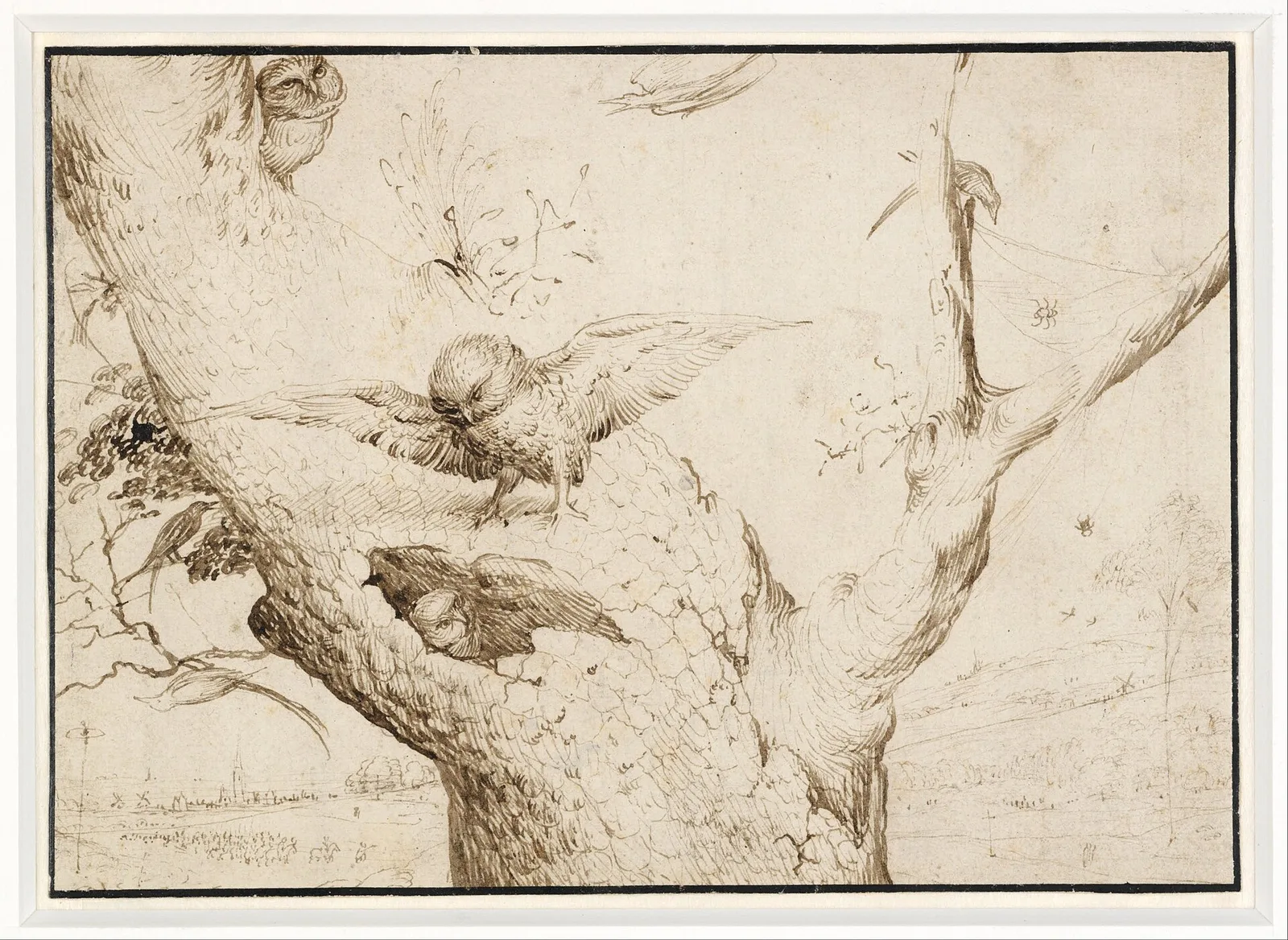 The Owl's nest