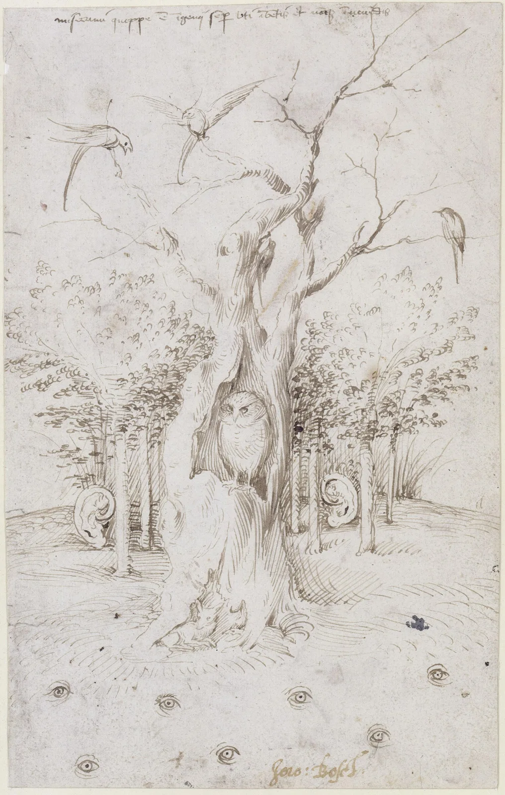 The Wood Has Ears, The Field Has Eyes