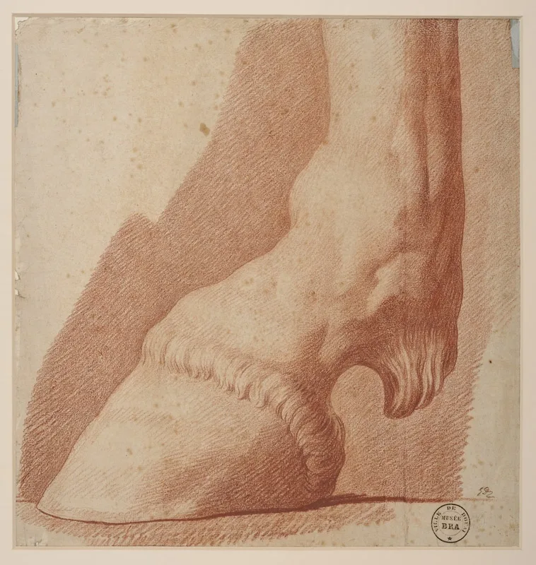 Patte de cheval
