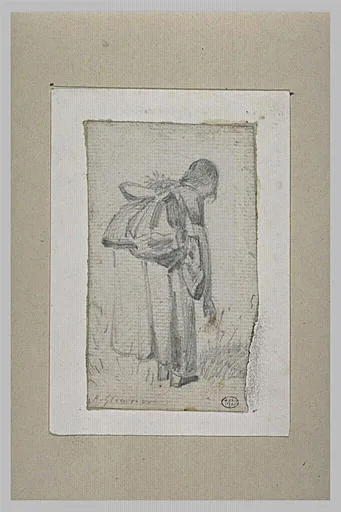 Femme, vue de dos, se penchant pour moissonner