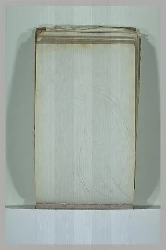Figure drapée