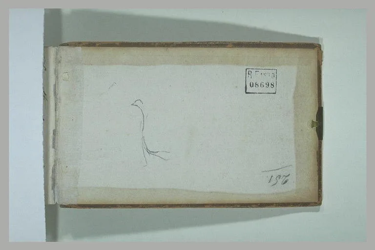 Esquisse d'un oiseau
