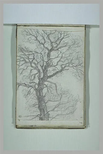 Arbre (No. 1)