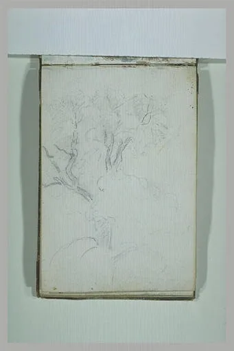 Arbres (No. 1)