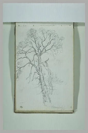 Arbre (No. 2)