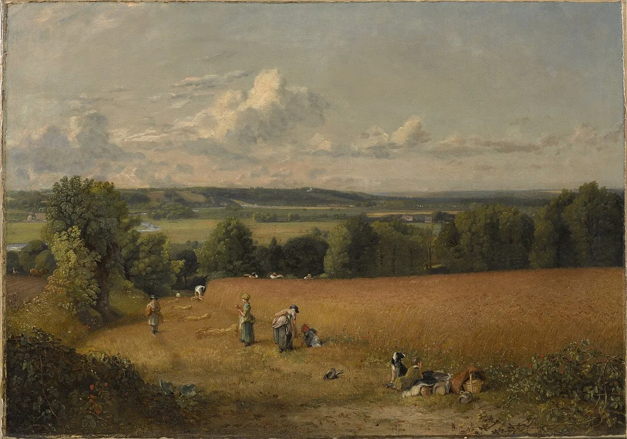 The Wheat Field