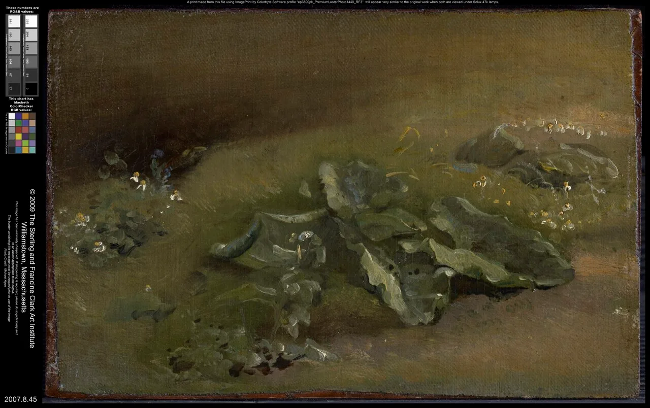 Study of a Burdock