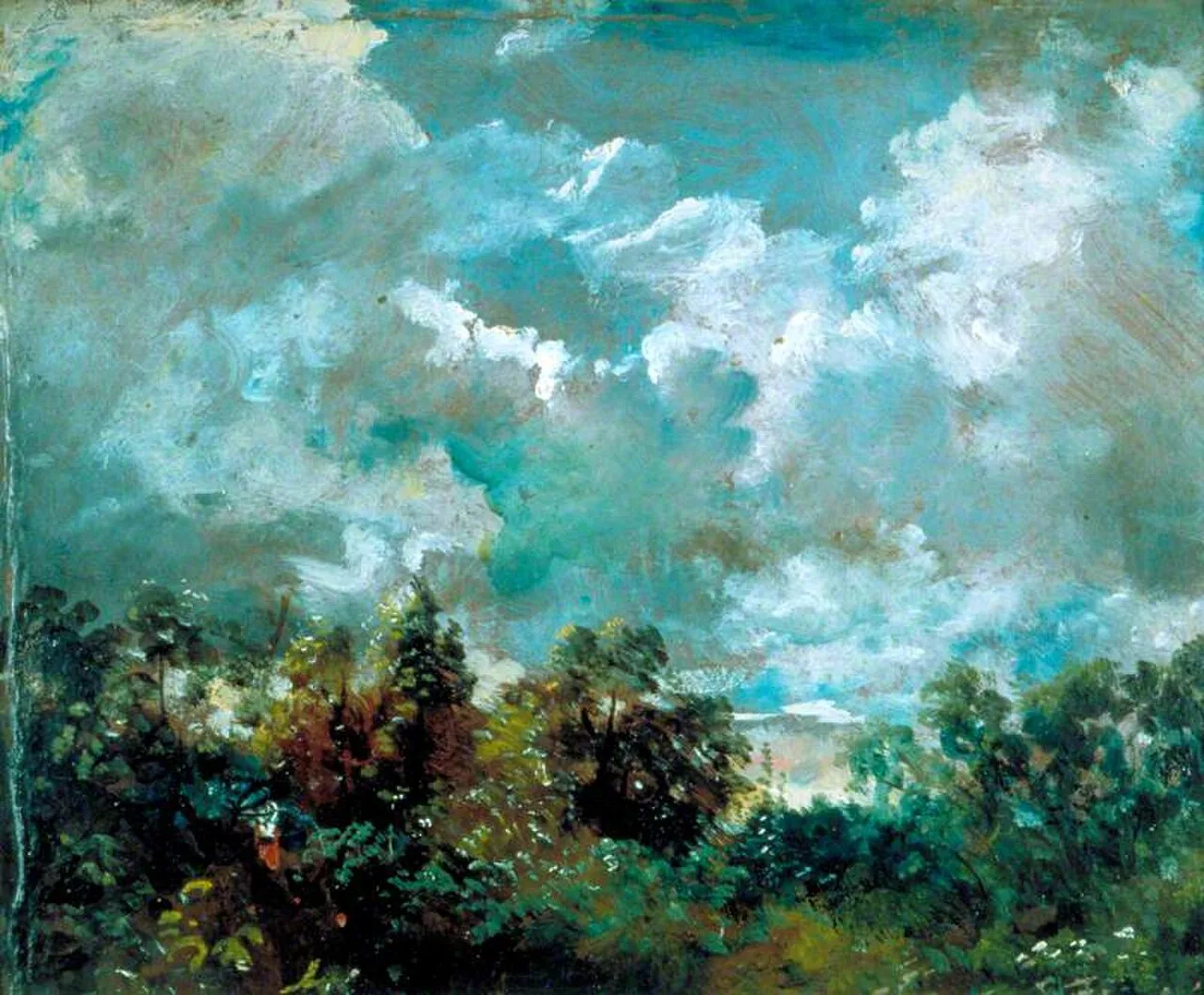 Study of Clouds and Trees