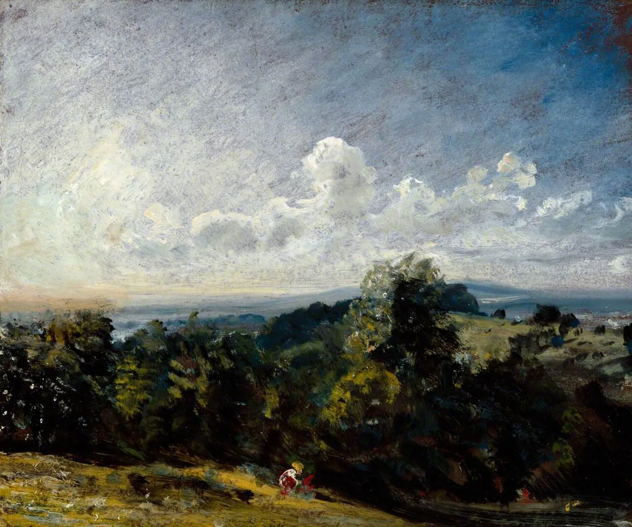 Hampstead Heath Looking West towards Harrow I
