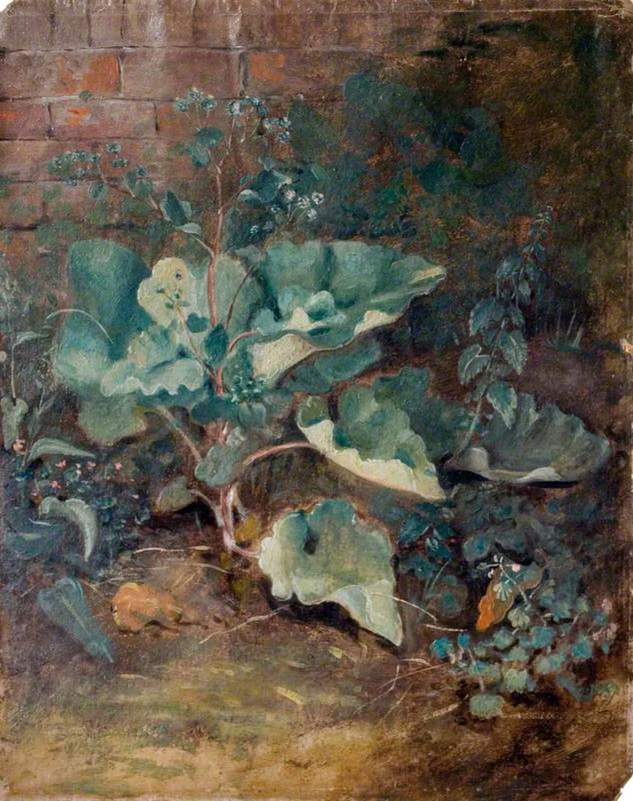 Plants Growing near a Wall