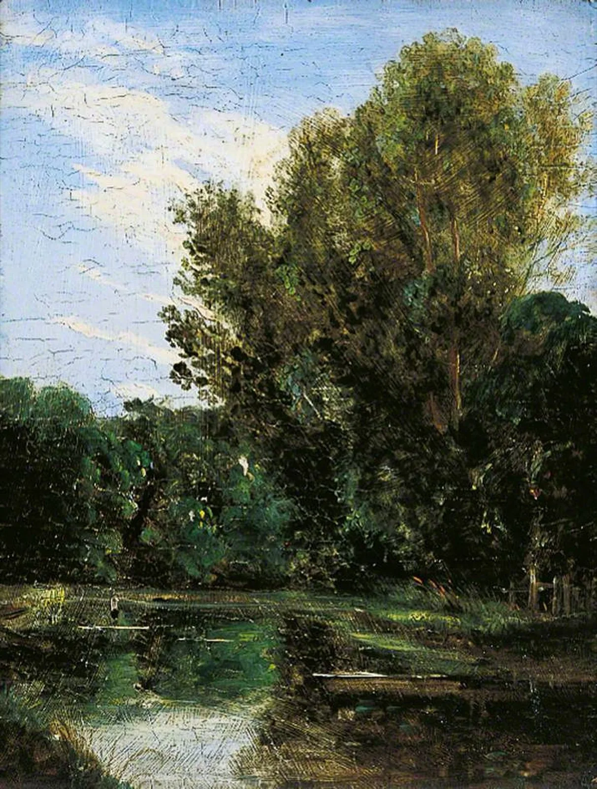 A Corner of Hampstead Ponds, London