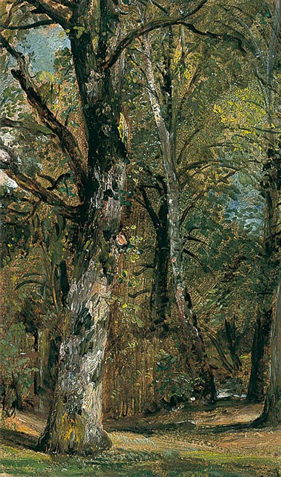 Avenue of Trees