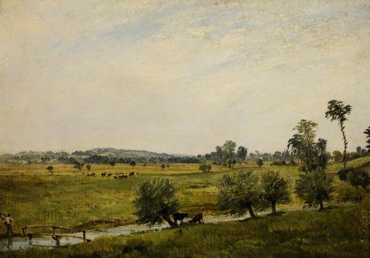 The Water Meadows, Salisbury, Wiltshire