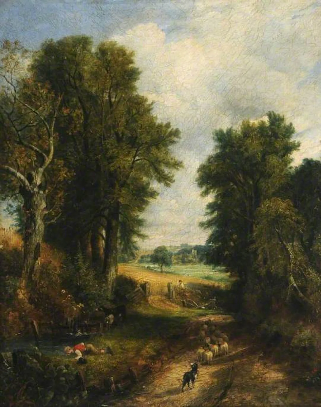 Cornfield (Country Lane)