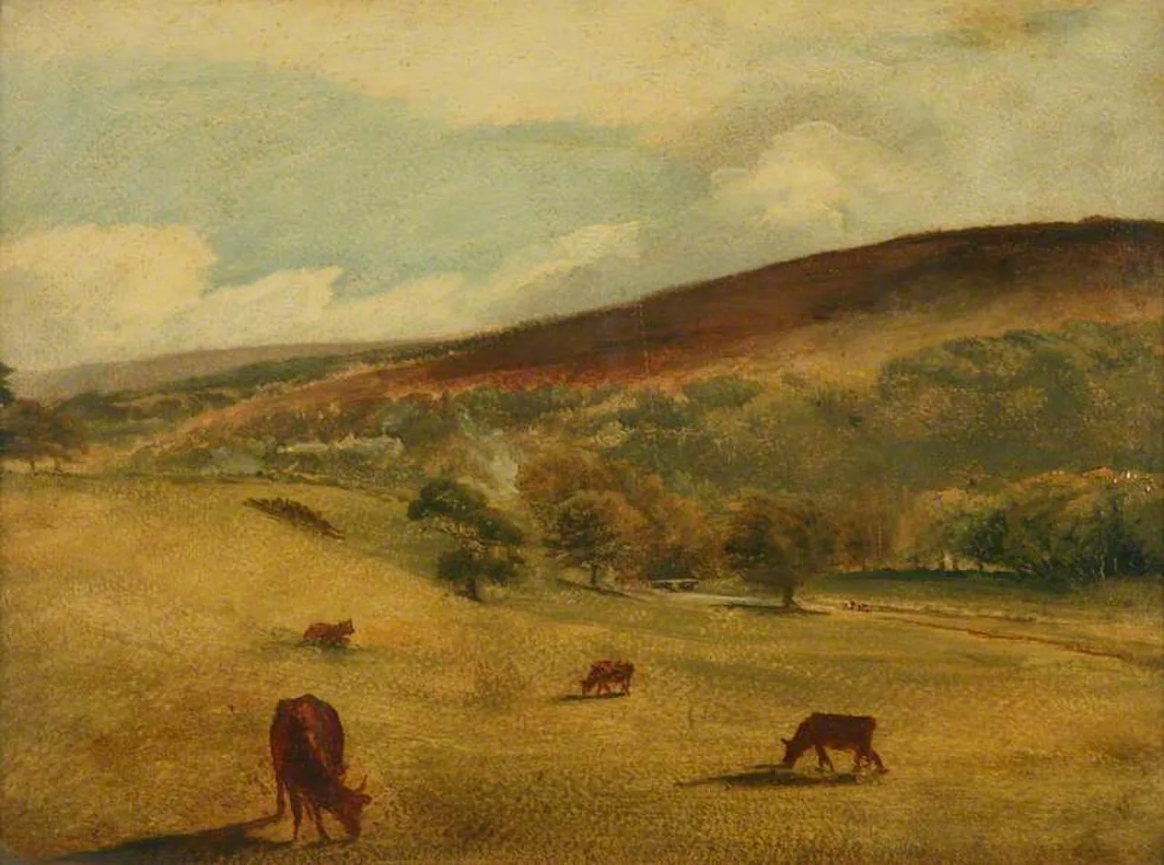 South Downs