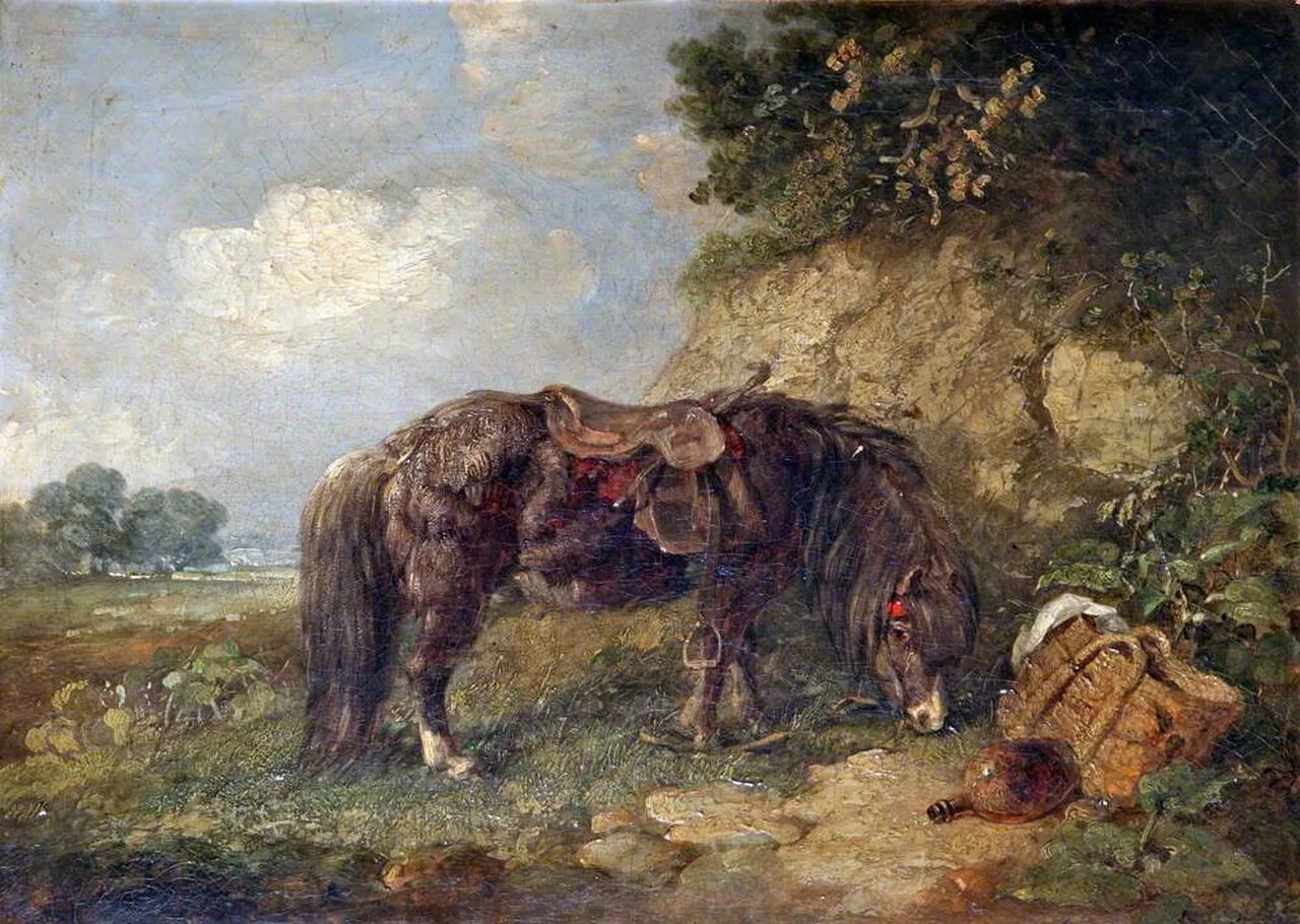 A Pony