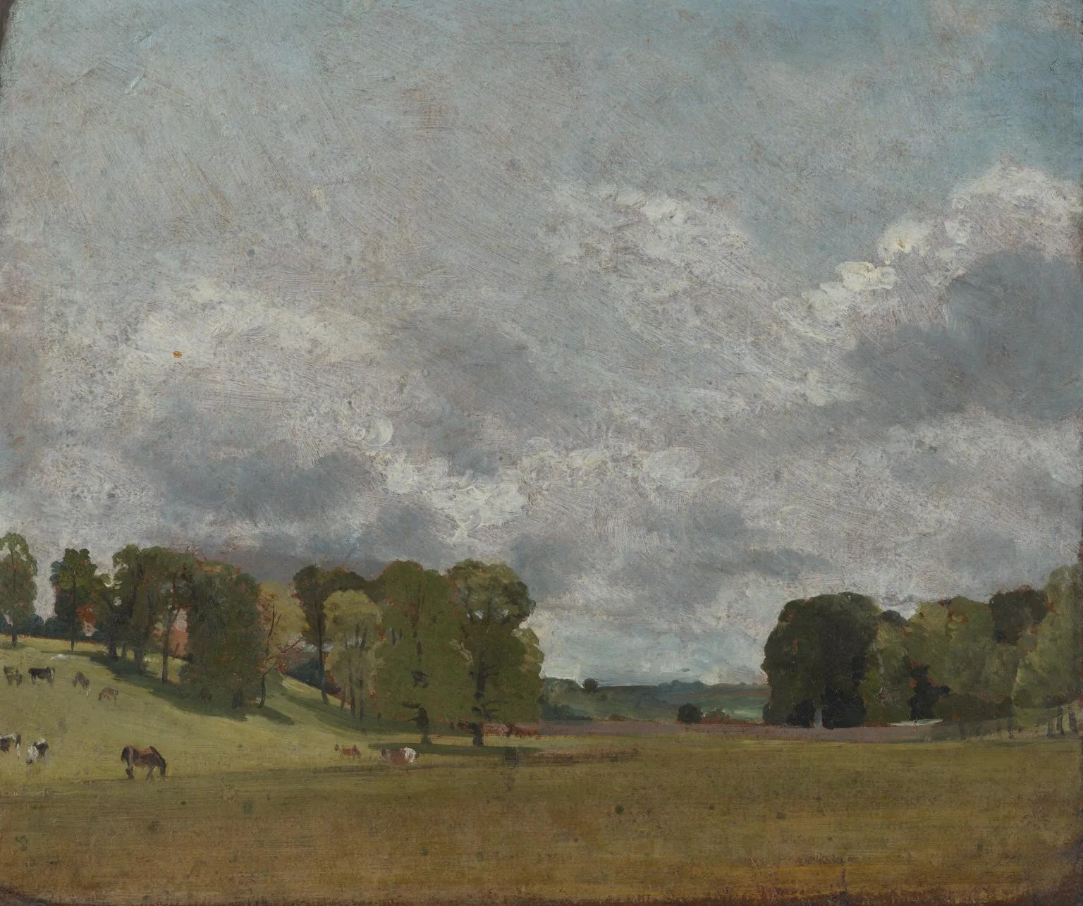 View at Epsom