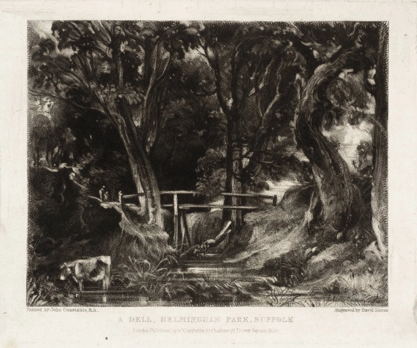 A Dell, Helmingham Park, Suffolk (No. 5)