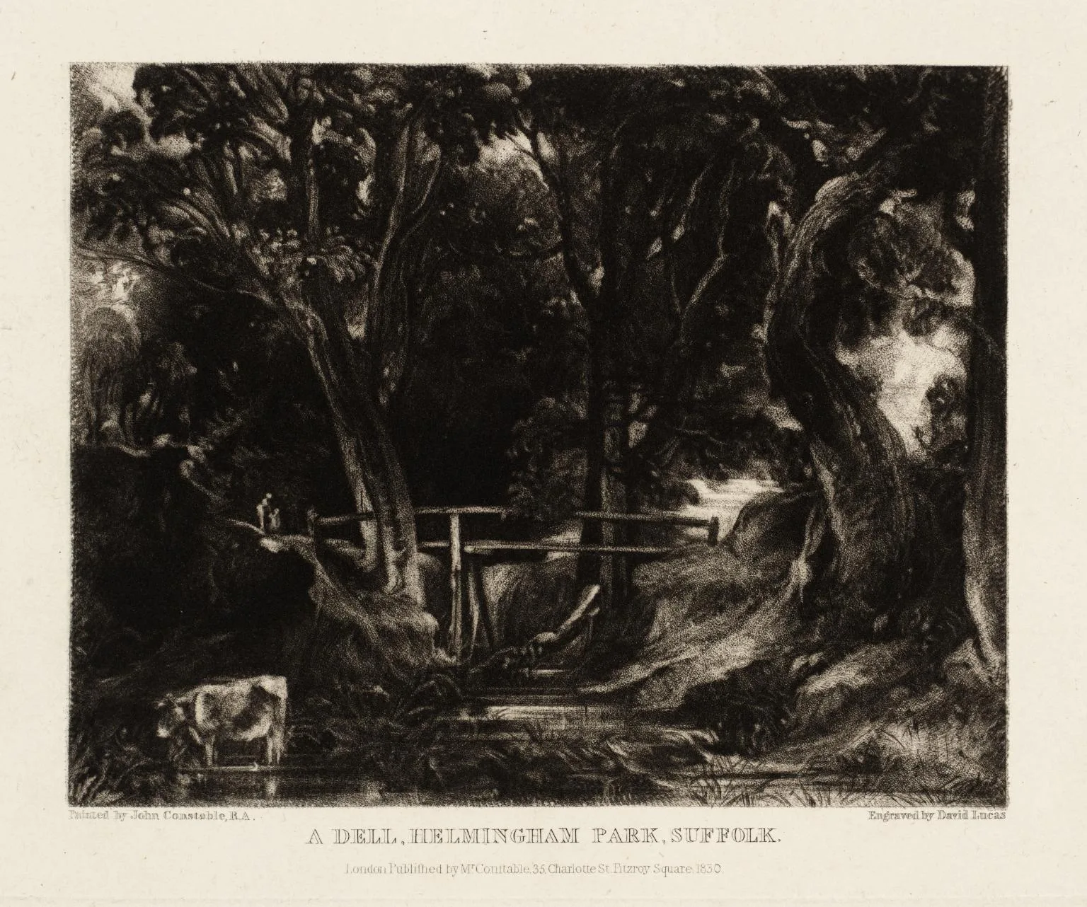 A Dell, Helmingham Park, Suffolk (No. 6)