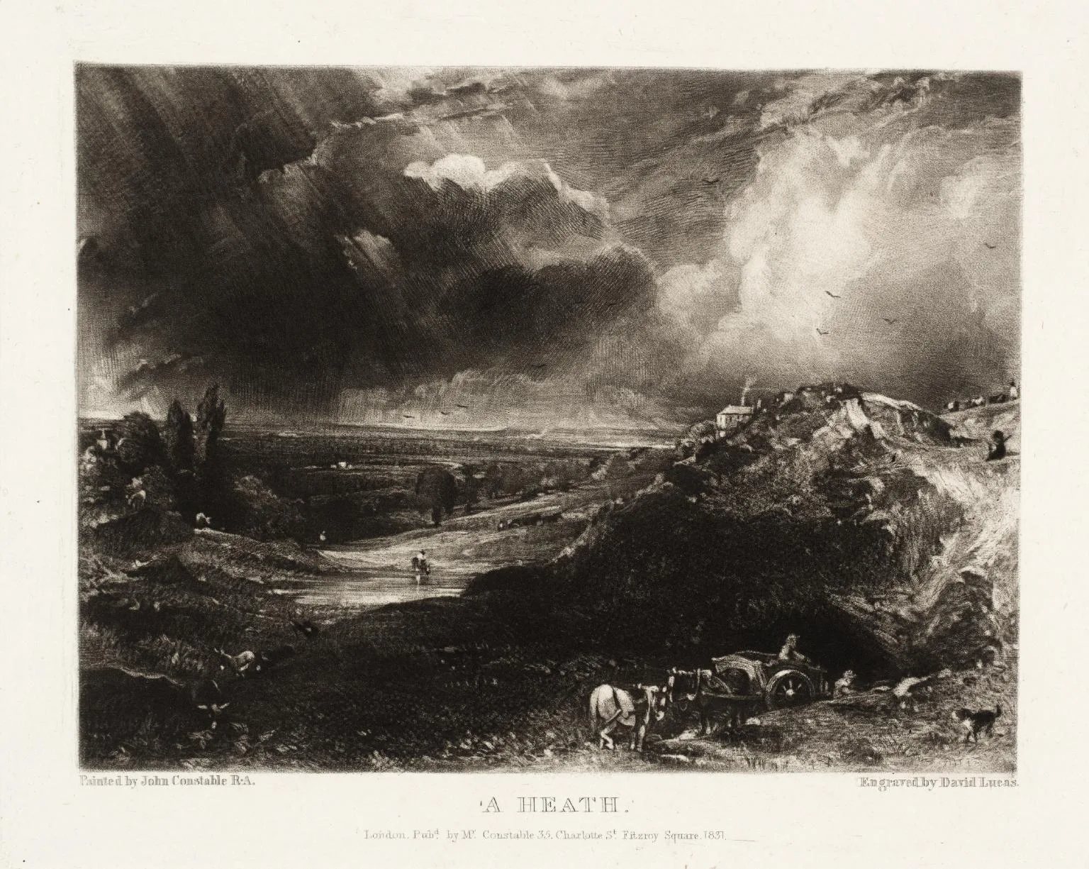A Heath (No. 5)