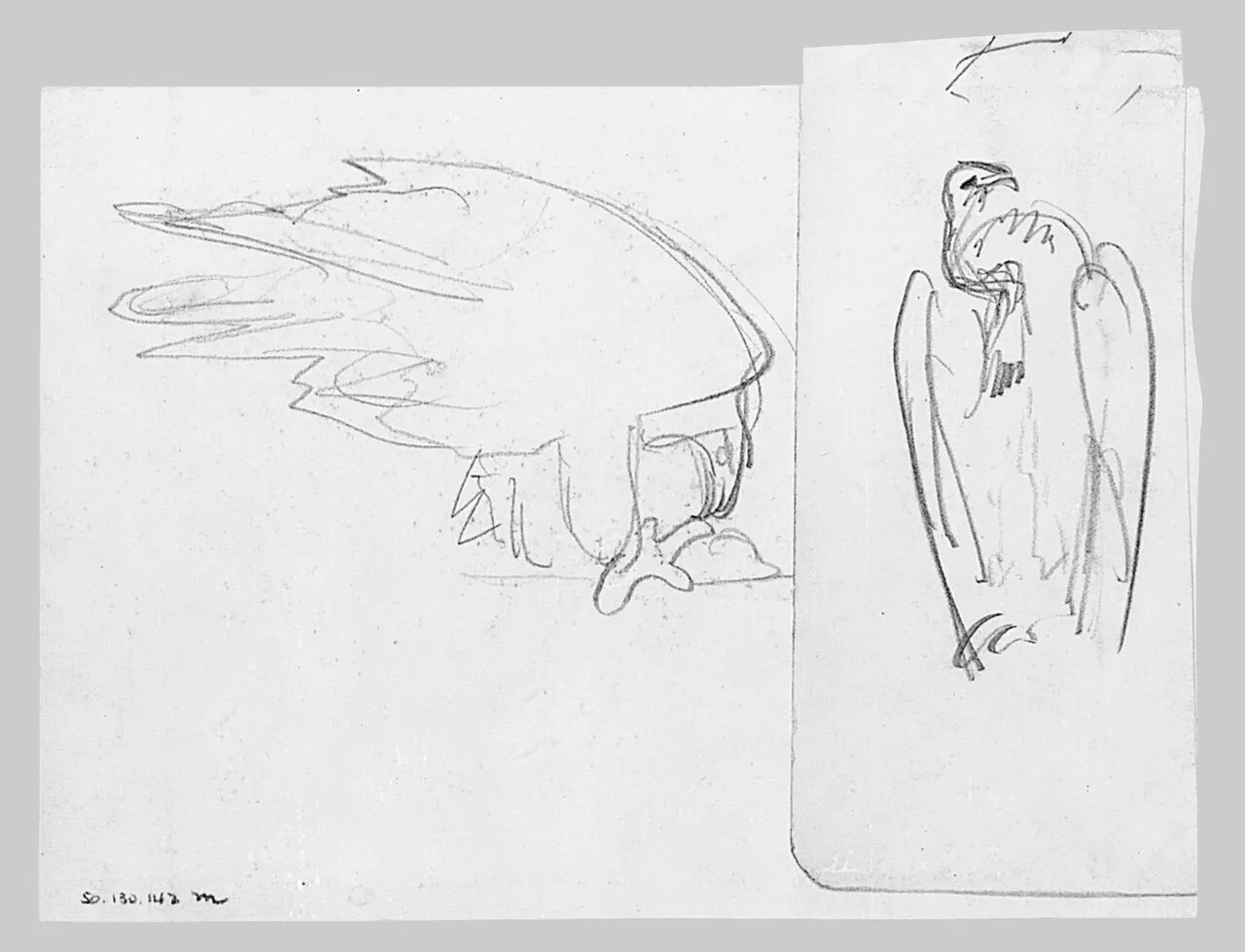 Vulture (No. 1)
