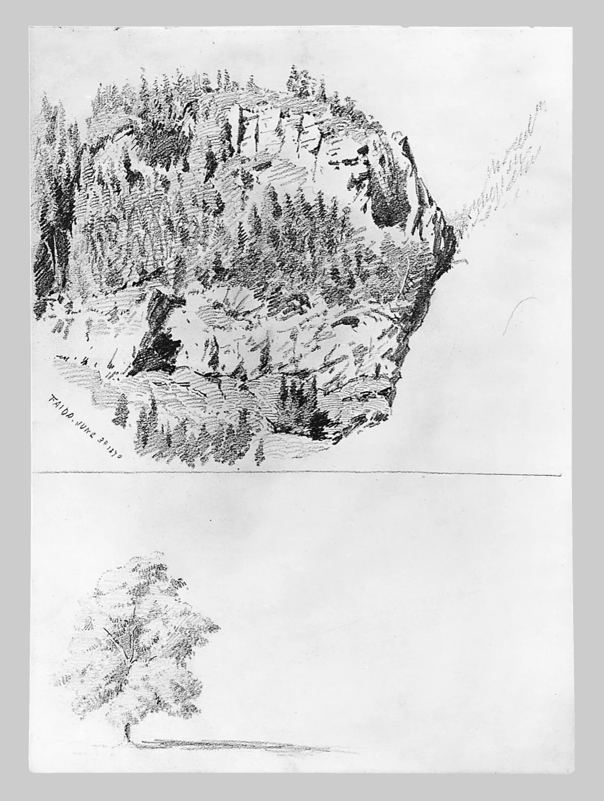 Landscape Study at Faido, Tree (from Switzerland Sketchbook)