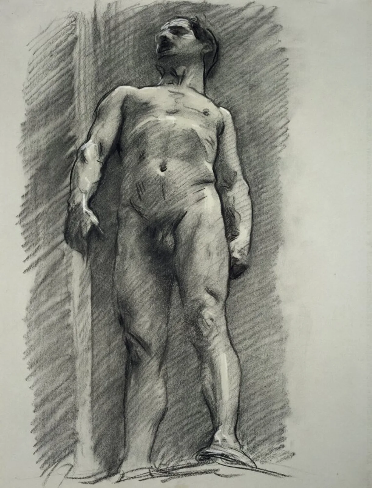 Standing Male Nude