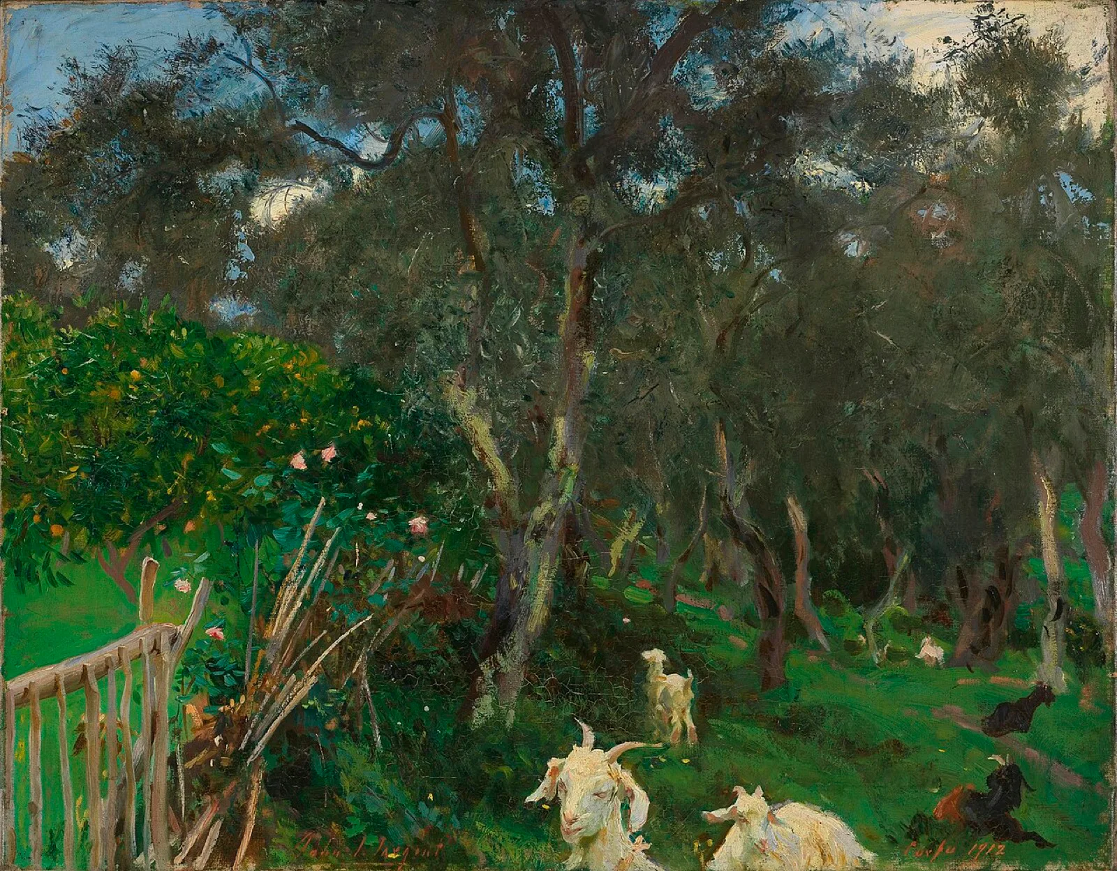 Olives in Corfu