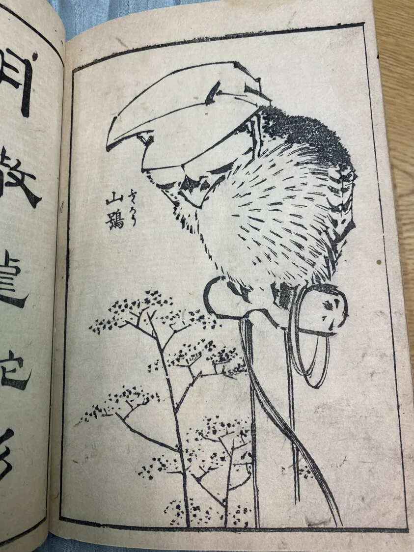 Shoshin gakan