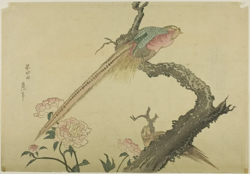 Two Pheasant and Peonies