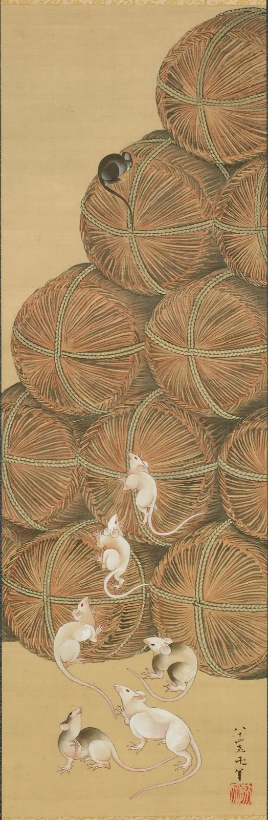 Rats and rice bales