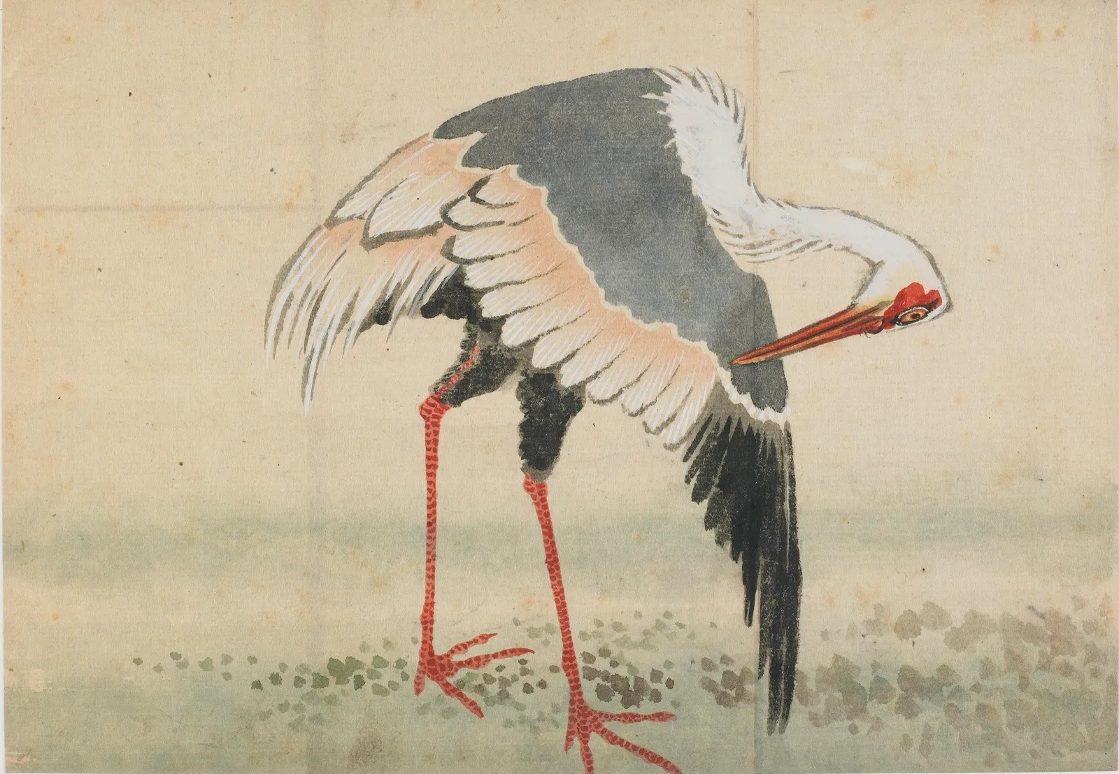 Crane