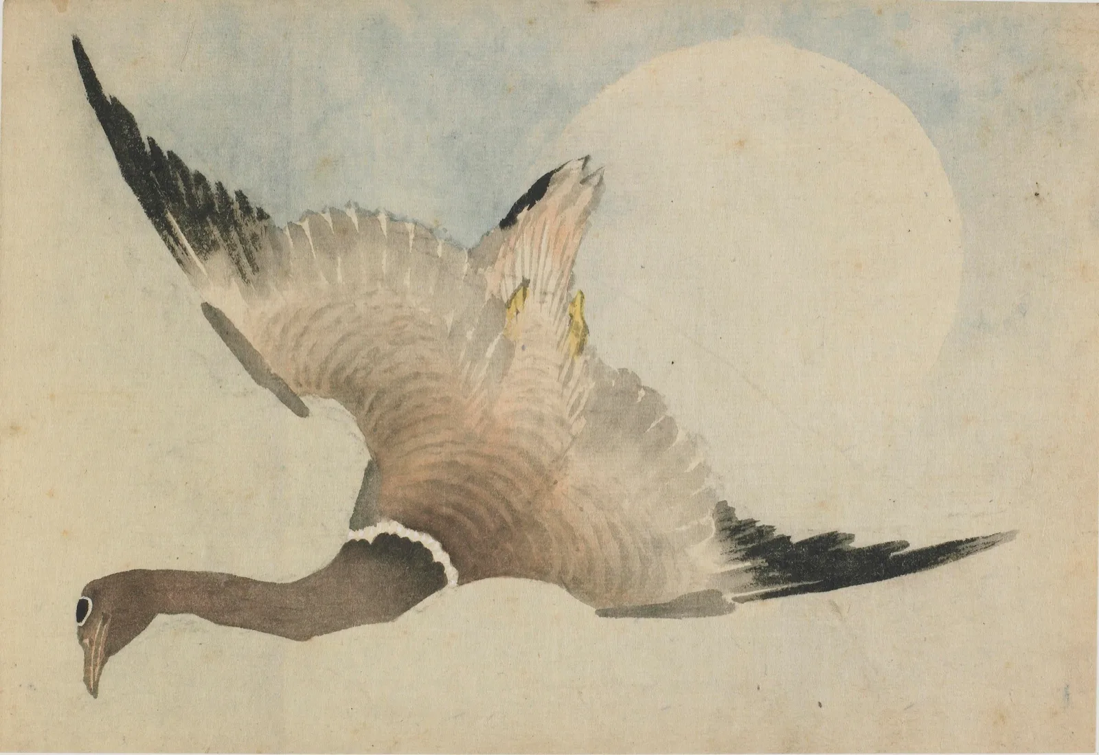 Goose flying in front of the moon