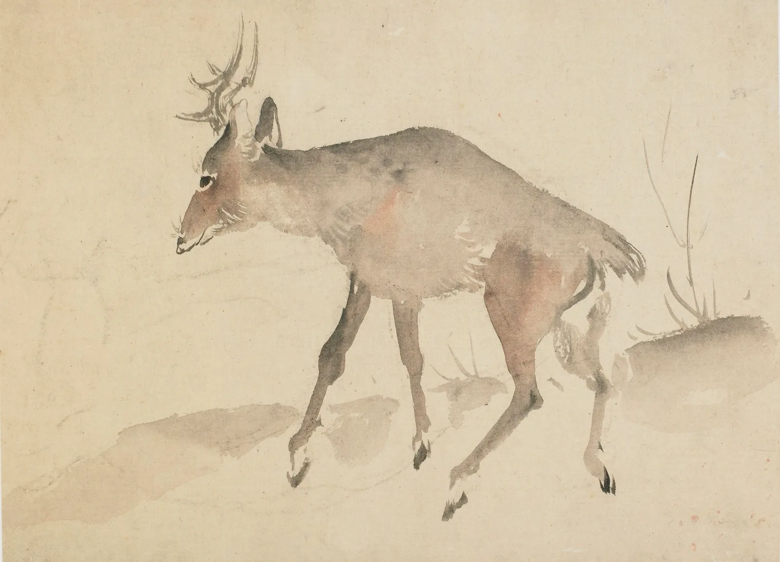 Deer (No. 2)