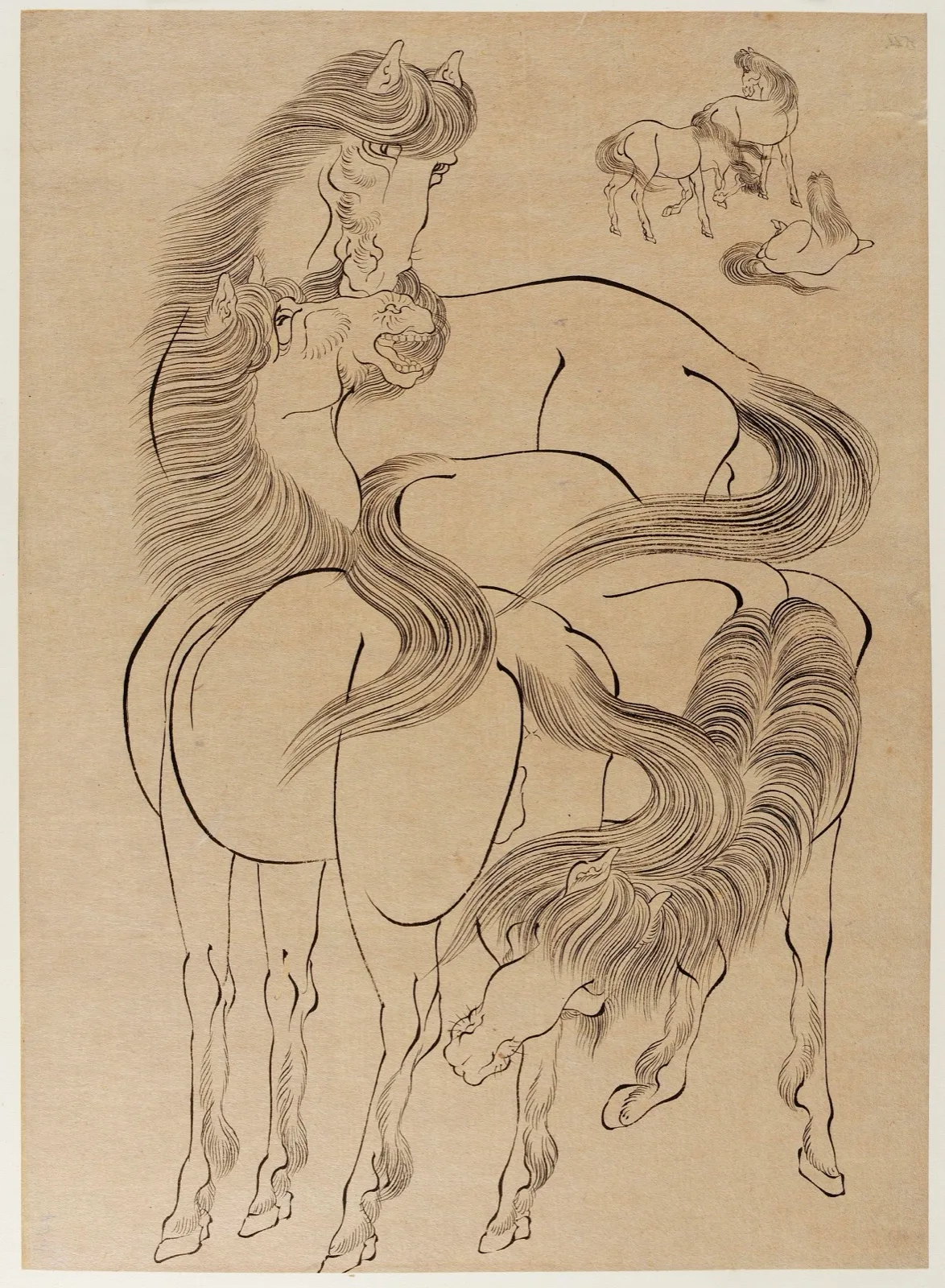 Horses