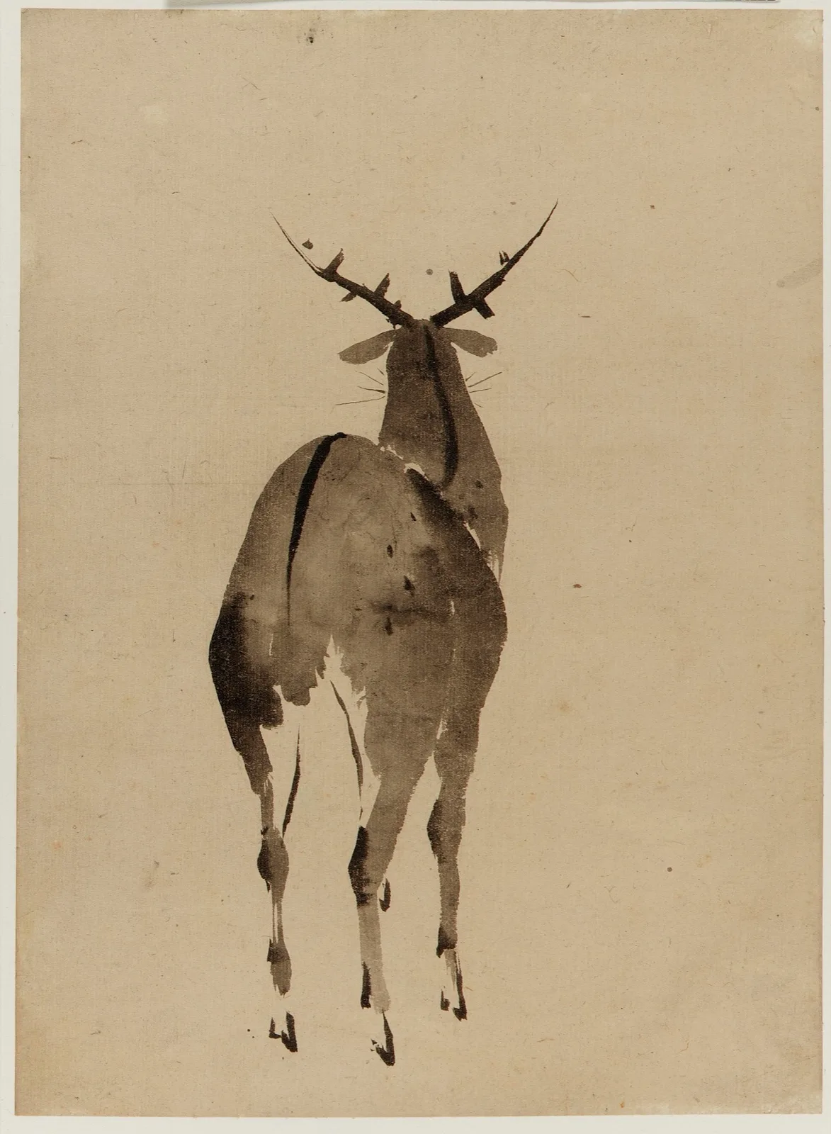 Deer (No. 1)