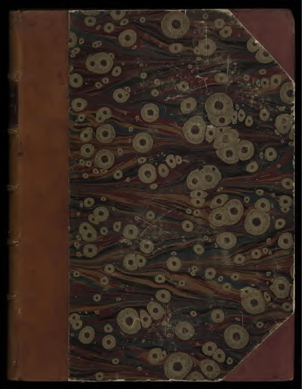 Blumengarten