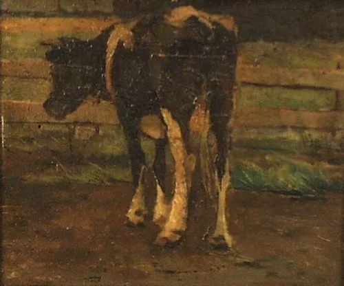 Cow