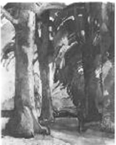 Forest view (No. 2)