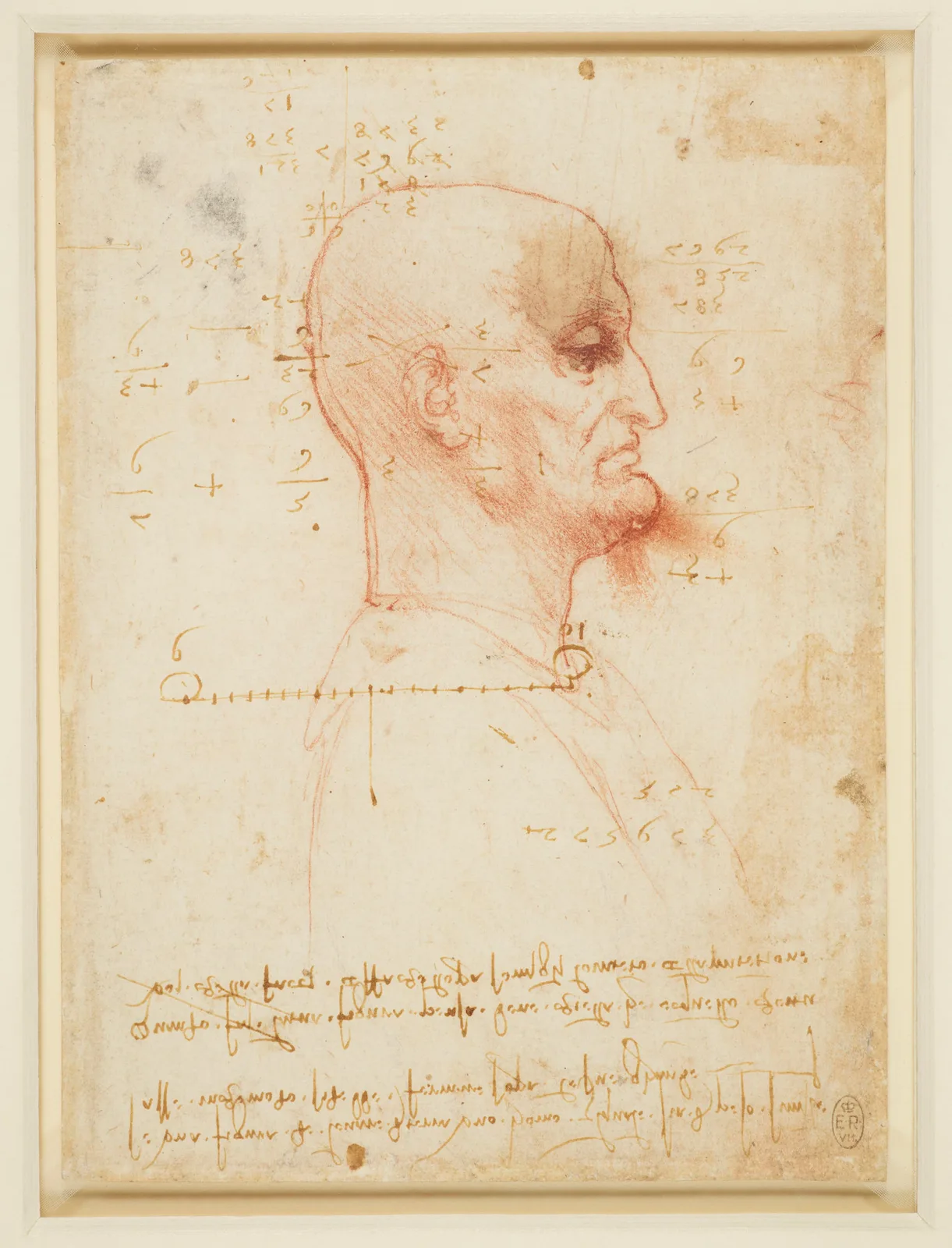 Bald Man in Profile (Zöllner 195)