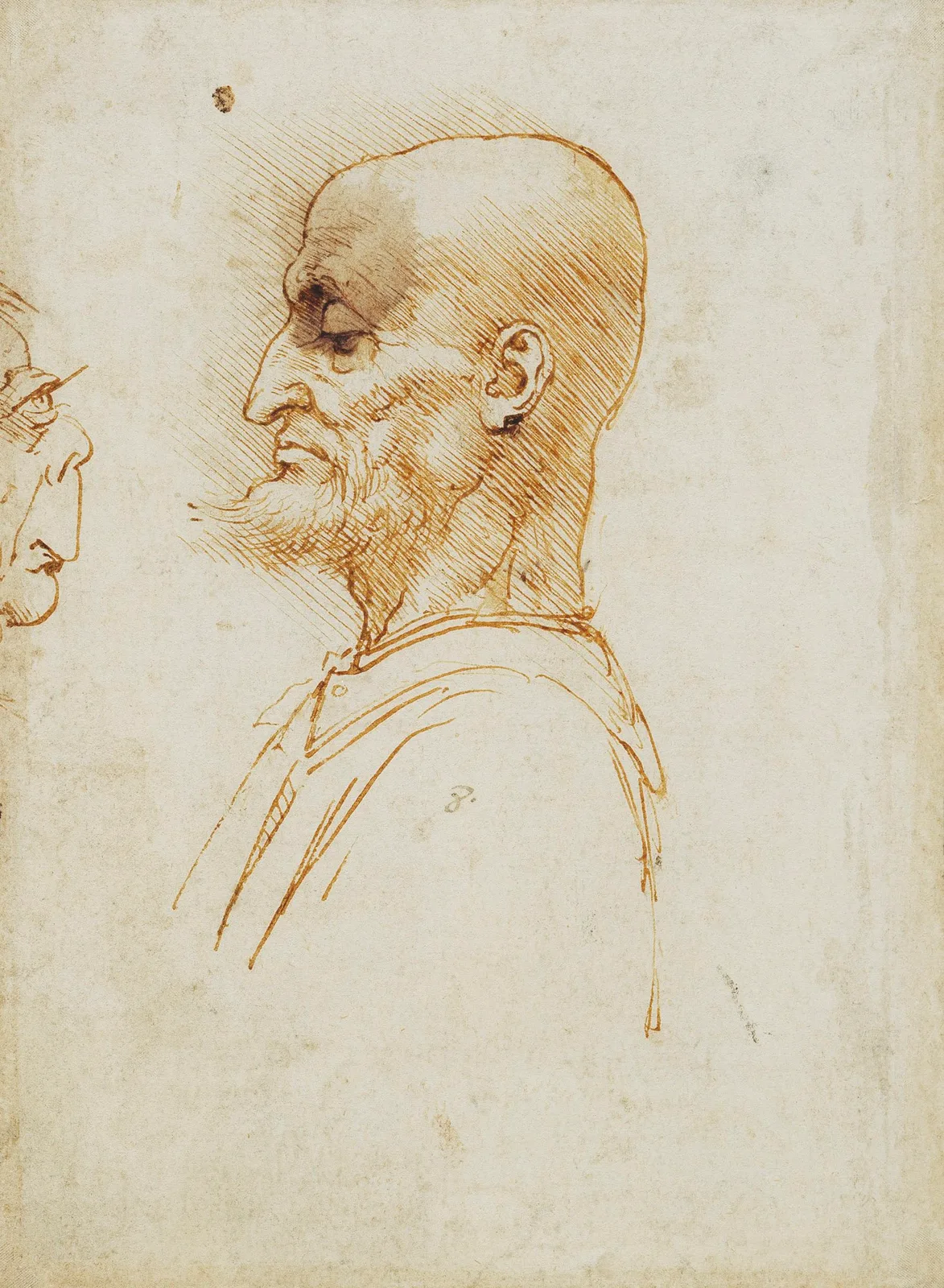 Bald Man in Profile (Zöllner 196)
