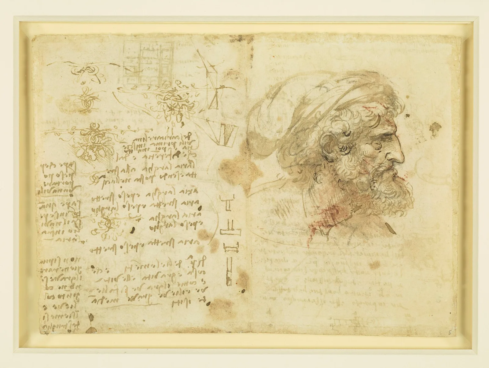 Head and Shoulders of a Bearded Man in a Turban