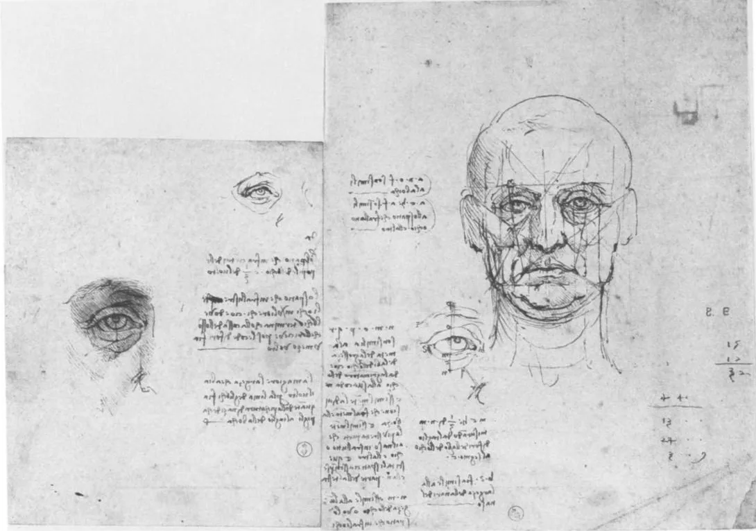 Studies of the Proportions of the Face and Eye
