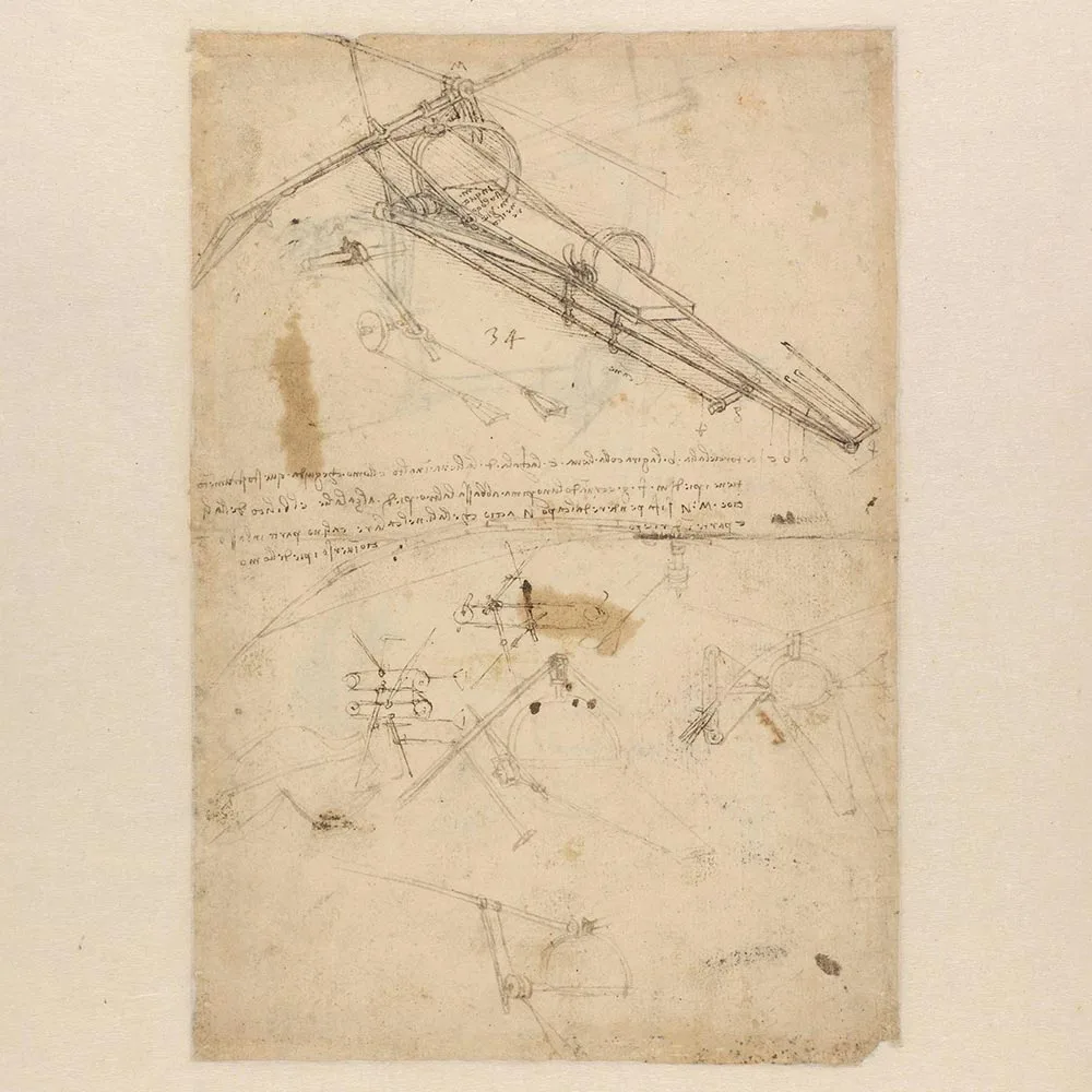 Flying Machine and Steering Device