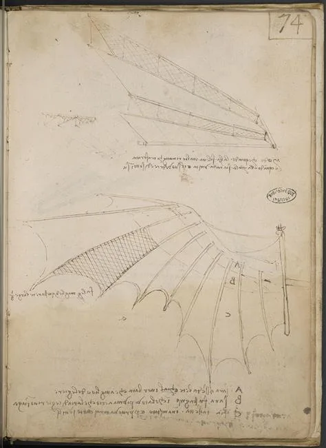 Studies of Wing Articulation