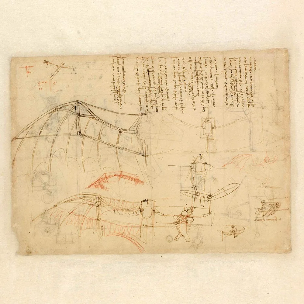 Bird's-winged Apparatus with Partly Rigid Wings